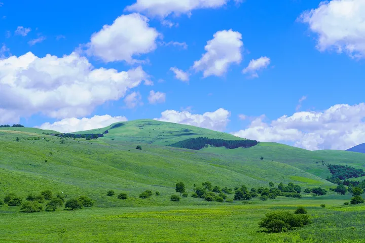 霧ヶ峰高原の草原（長野県）
