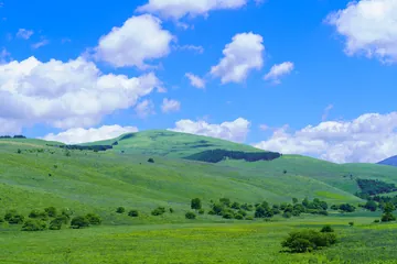 霧ヶ峰高原の草原（長野県）