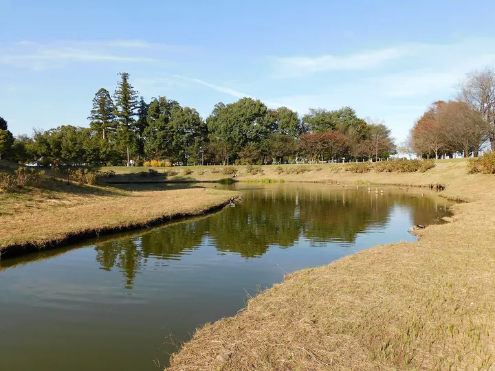 里山の水辺（栃木県宇都宮市 みずほの自然の森公園）