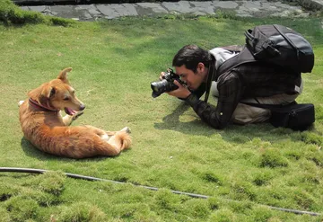 犬を撮る人