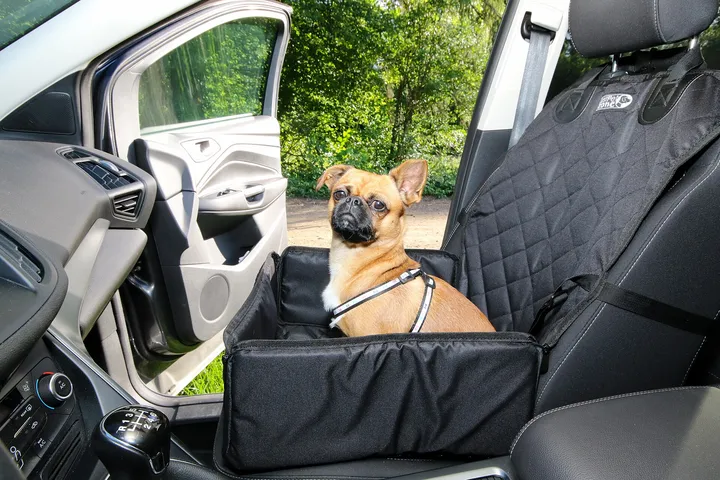 車の座席の犬用シートに乗る犬