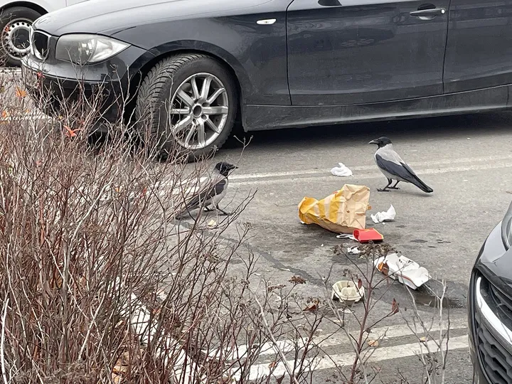 駐車場のごみ
