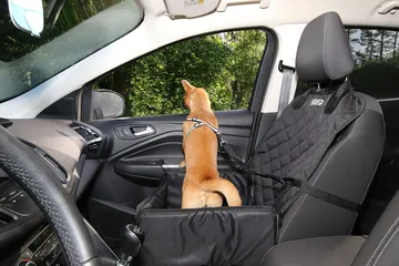 車の座席の犬用シートに座る犬