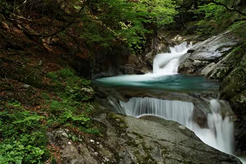 西沢渓谷の滝（山梨県山梨市）