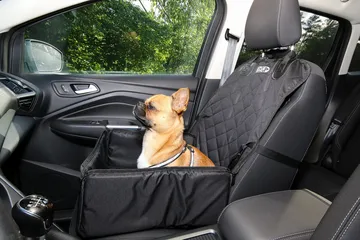 車の座席の犬用シートに乗る犬（2）