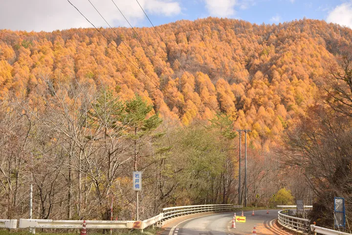 岩手県 宮古 国道106号沿いの紅葉