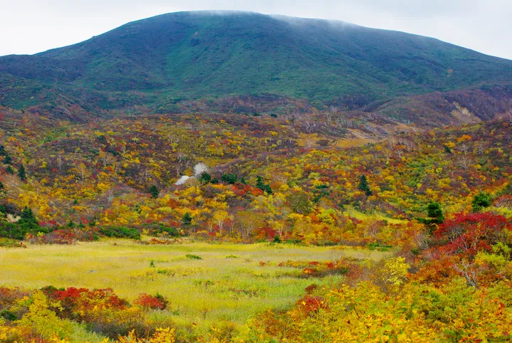岩手県 名残ヶ原から望む須川岳（栗駒山）の紅葉