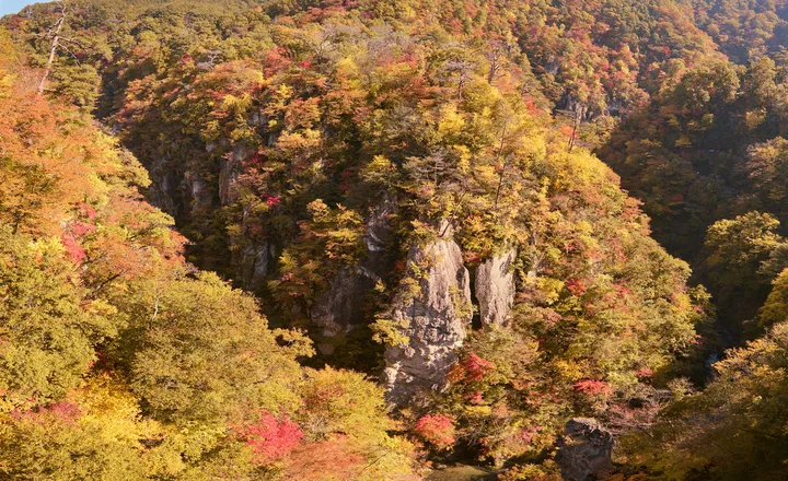 宮城県 鳴子峡の紅葉