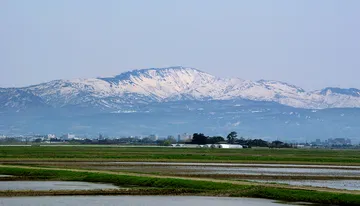 山形県 鶴岡 月山と田園