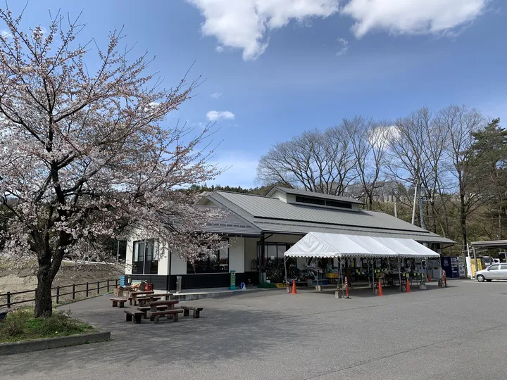 福島県 道の駅喜多の郷（桜）