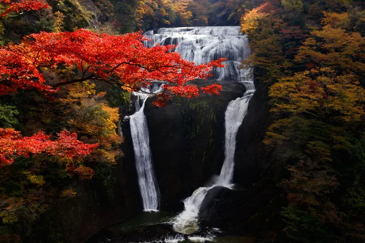 茨城県 大子 袋田の滝の紅葉