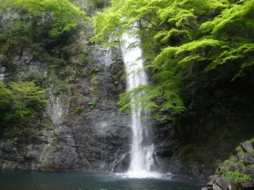 大阪府 箕面 箕面大滝