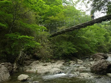 奈良県 大台ヶ原 シオカラ谷のつり橋