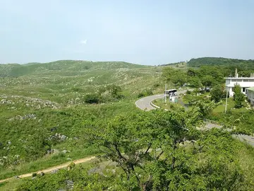 山口県 秋吉台カルスト展望台から見た秋吉台