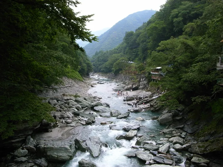 徳島県 祖谷渓