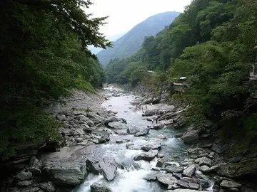 徳島県 祖谷渓