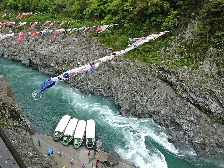 徳島県 大歩危峡の遊覧船と鯉のぼり