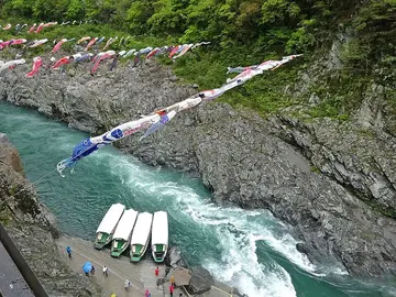 徳島県 大歩危峡の遊覧船と鯉のぼり