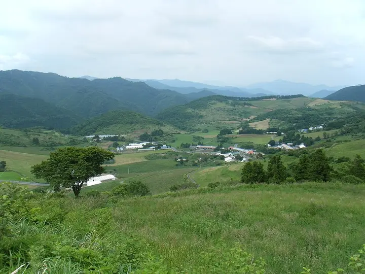 愛媛県 四国カルスト 大野ヶ原