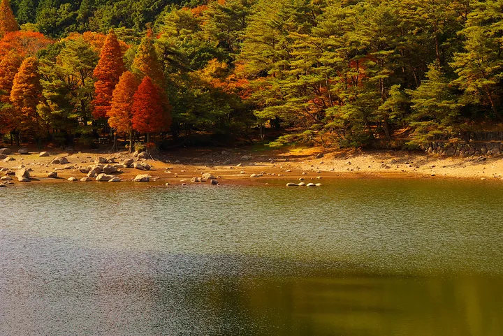 佐賀県 広川原キャンプ場の紅葉