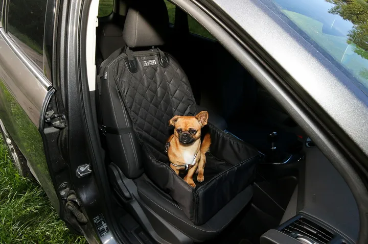 車の座席の犬用シート（4）