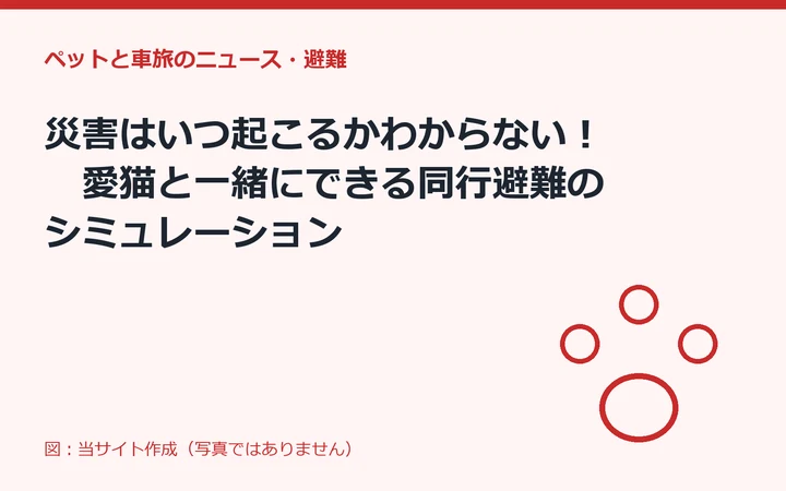 図：災害はいつ起こるかわからない！　愛猫と一緒にできる同行避難の