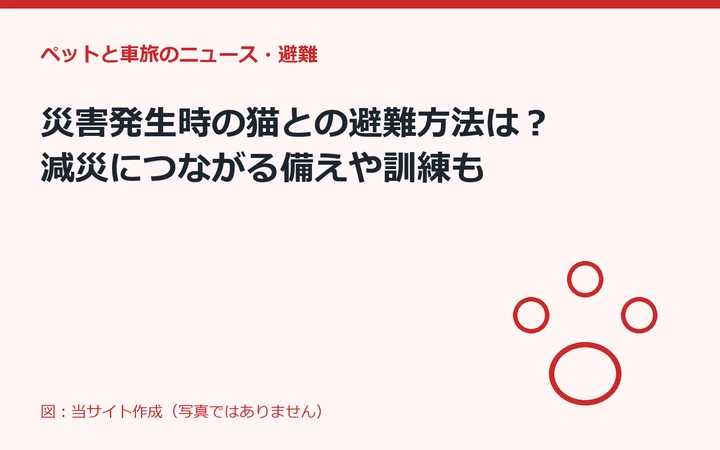 図：災害発生時の猫との避難方法は？ 減災につながる備えや訓練も