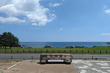 青森県 八戸市 種差海岸の芝生と海