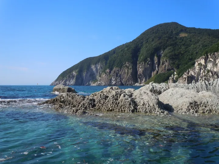 青森県 六ヶ所村 泊の海岸