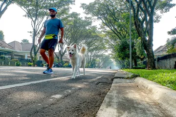 犬と朝の散歩
