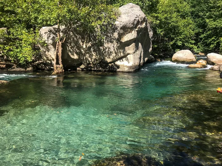 夏の渓流