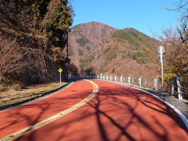 紅葉の山の道