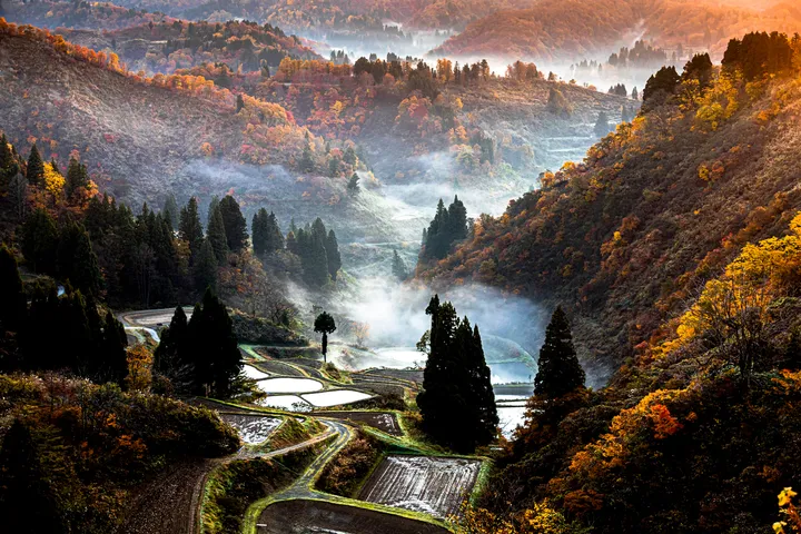 朝もやの山里と棚田