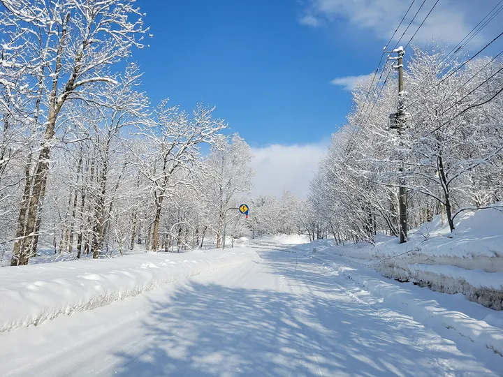 雪の道