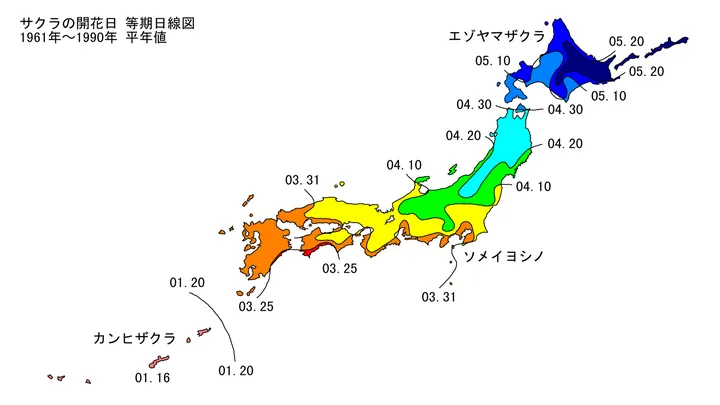 桜の咲く日の地図