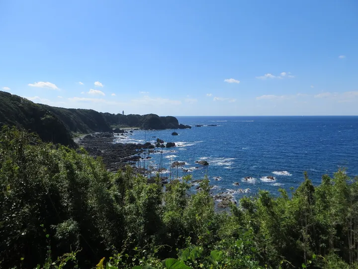 冬の岬の海