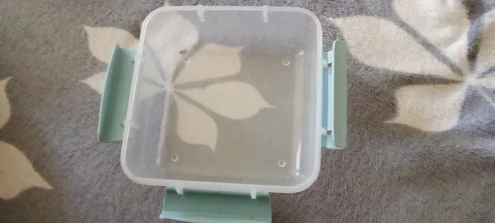 食べ物を入れる保存容器