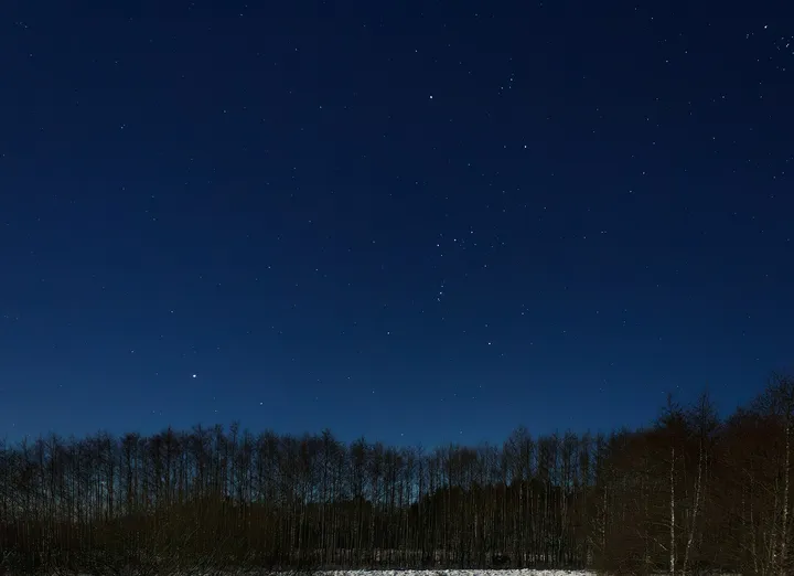 星の見える冬の夜空と林