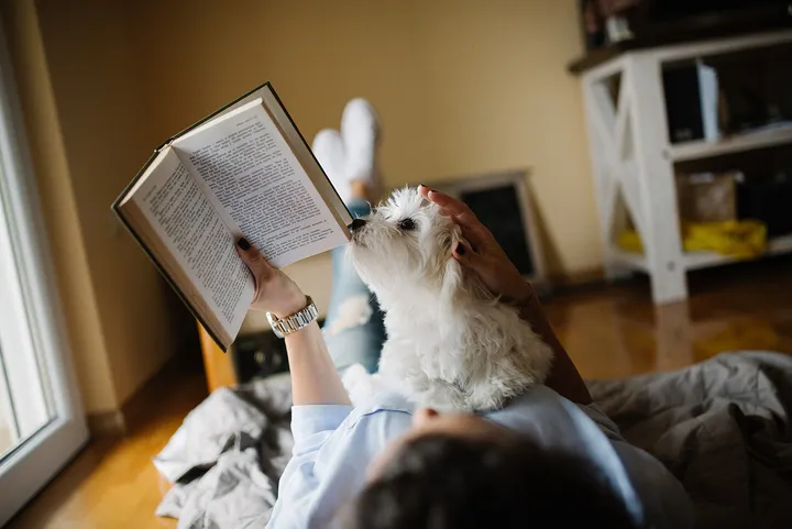 本を読む人と犬