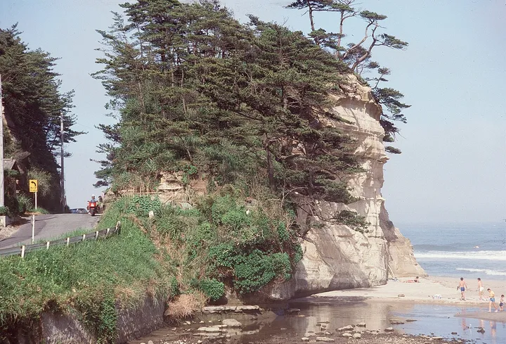 海沿いの岩と道