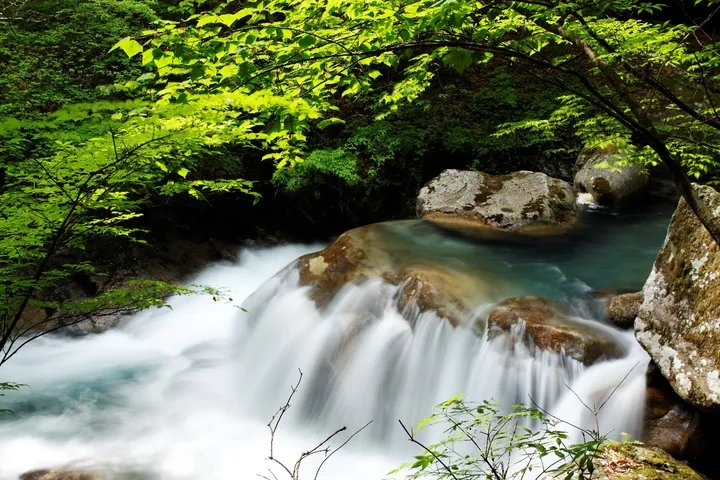 西沢渓谷の滝（山梨県山梨市）