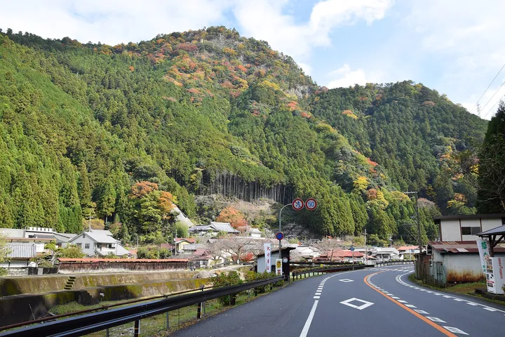 紅葉の山あいの道