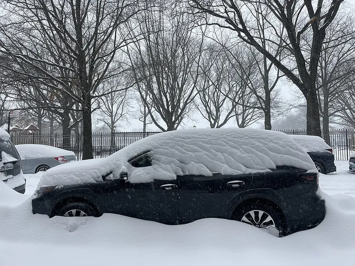 雪に埋もれた黒い乗用車