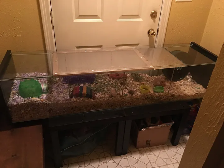小さな動物の飼育ケース