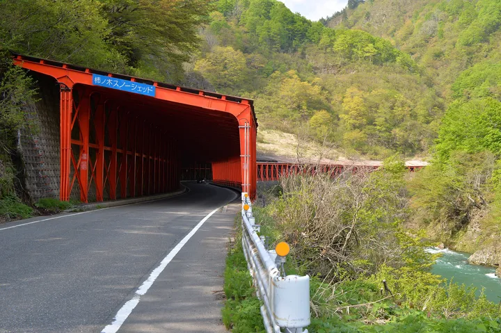 雪よけのスノーシェッド（国道252号）