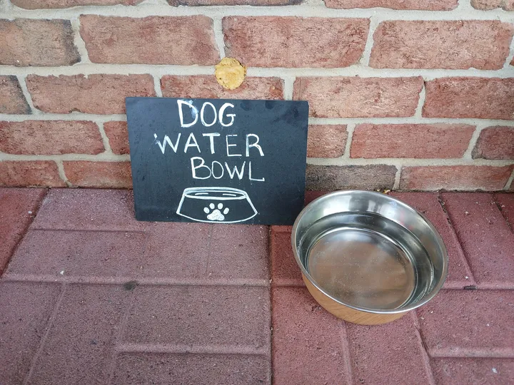 犬の水入れ
